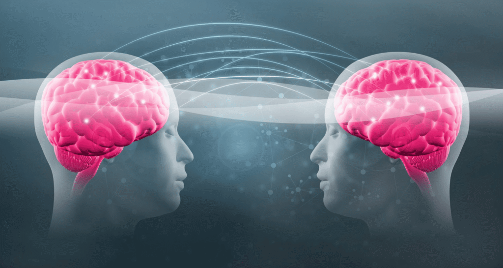 Los 7 neurotransmisores del votante 7 neurotransmisores comunicacion
