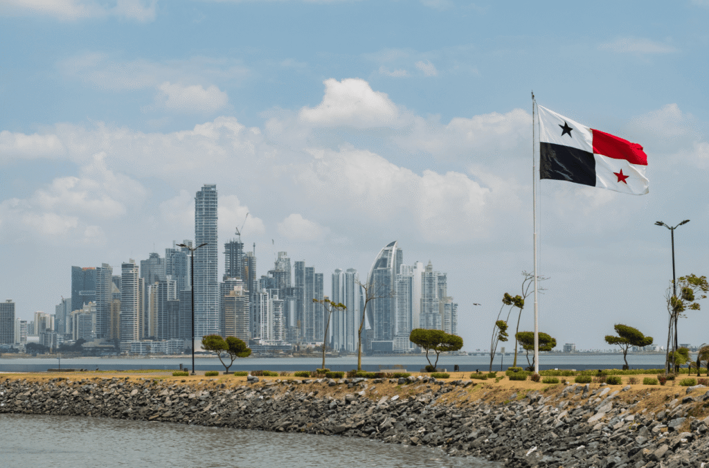 Elecciones Panamá 2029